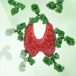 How Acupuncture Supports Healing in Autoimmune Diseases